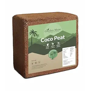 Cocopeat Blocks